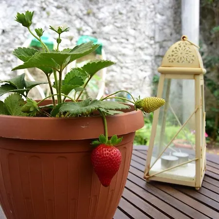 Holiday home Beachfront Neoclassical *