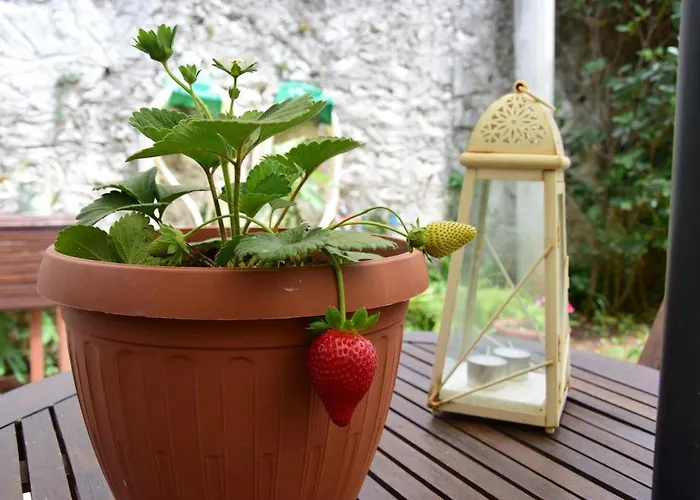 Casa de Férias Beachfront Neoclassical *